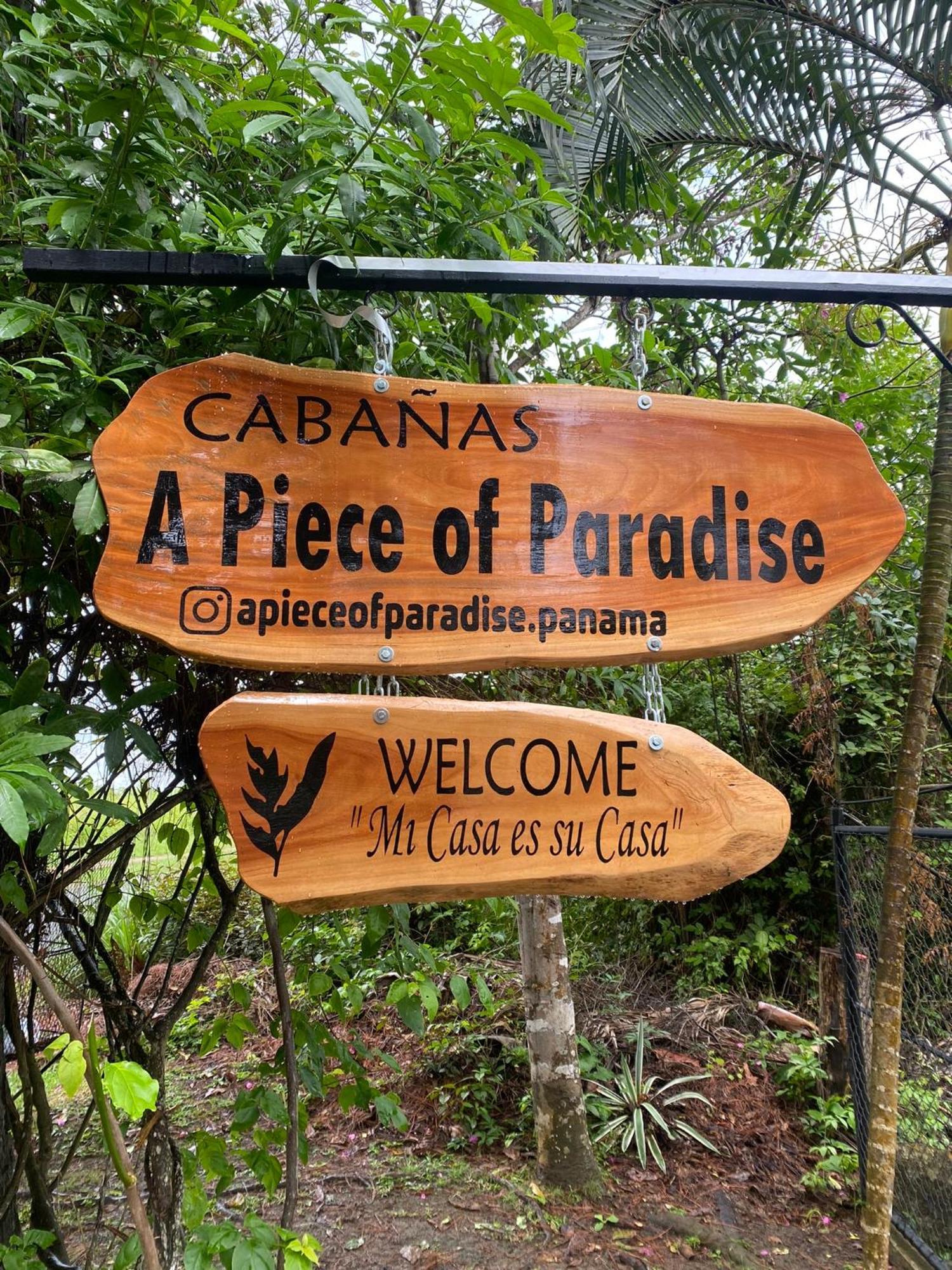 A Piece Of Paradise San Carlos Eksteriør billede
